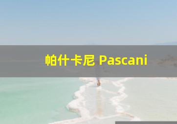 帕什卡尼 Pascani